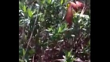 VID-20150502-WA0037